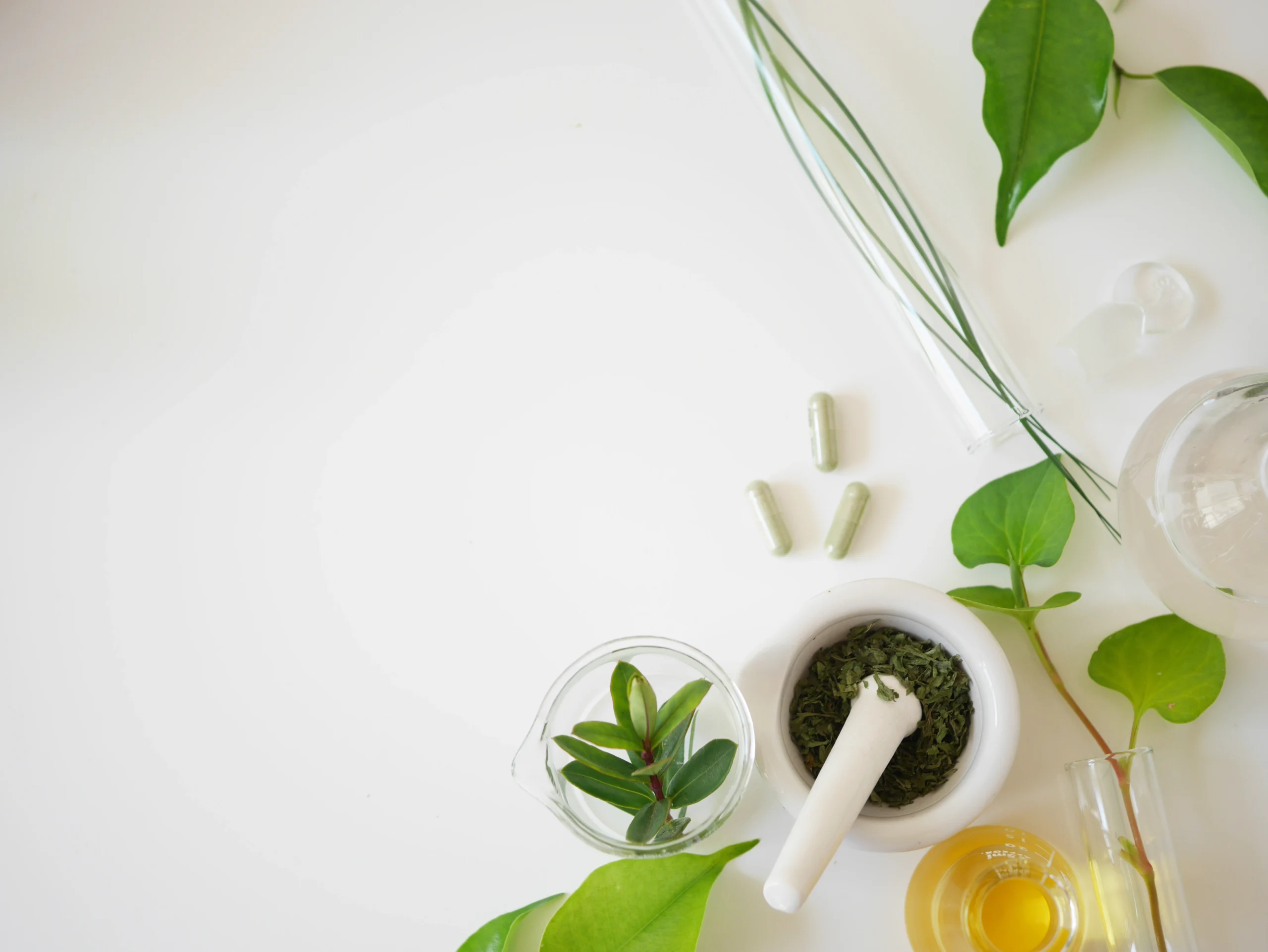 Clean, bright arrangement of herbal supplements, mortar and pestle, test tubes, and green leaves suggesting natural remedies for UTIs